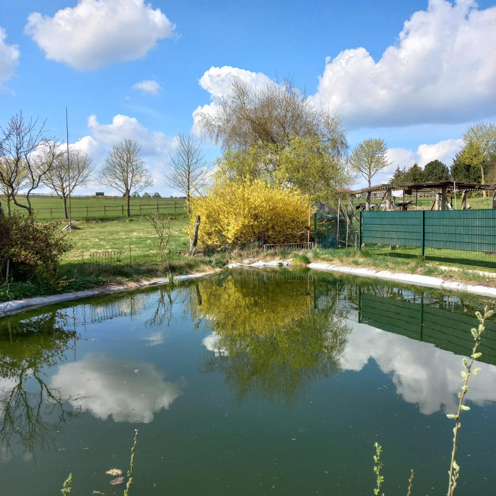 Zimmer Und Apartment Rosi Krakow am See Exterior foto